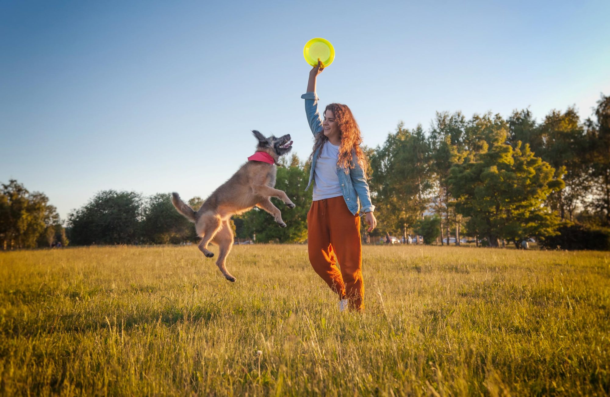 girl playing frisbee with her dog.